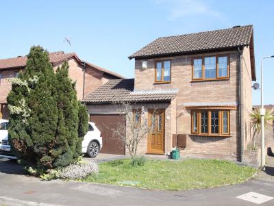 Three Estate Agents